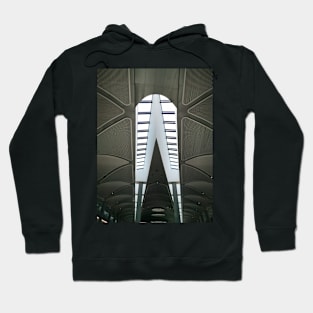 REACH FOR THE SKIES Hoodie